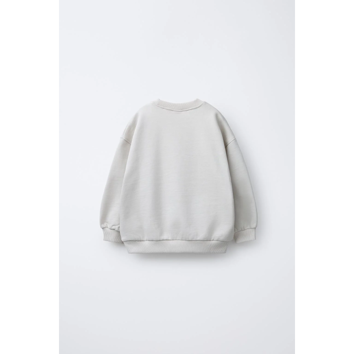 ТОЛСТОВКА С ПЕРЕЛИВАЮЩИМСЯ ПРИНТОМ NIRVANA ®