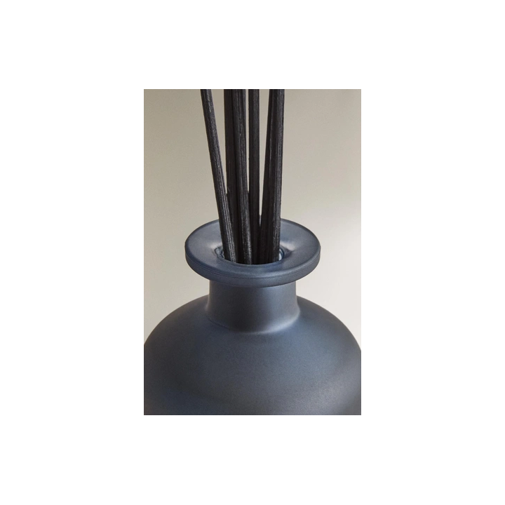 SR_A LEATHER TRAINERS