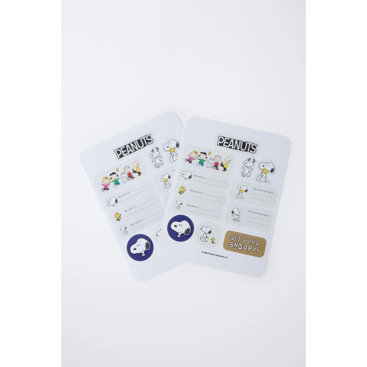 НАБОР НАКЛЕЕК SNOOPY PEANUTS™