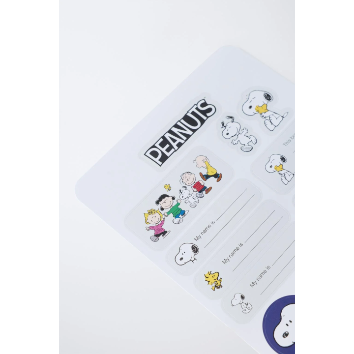 НАБОР НАКЛЕЕК SNOOPY PEANUTS™