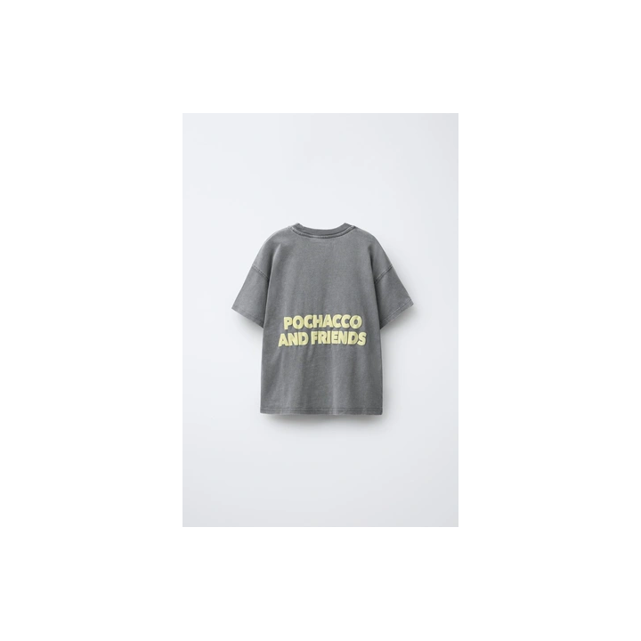 ФУТБОЛКА POCHACCO AND HIS FRIENDS © SANRIO