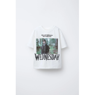 ФУТБОЛКА WEDNESDAY ©