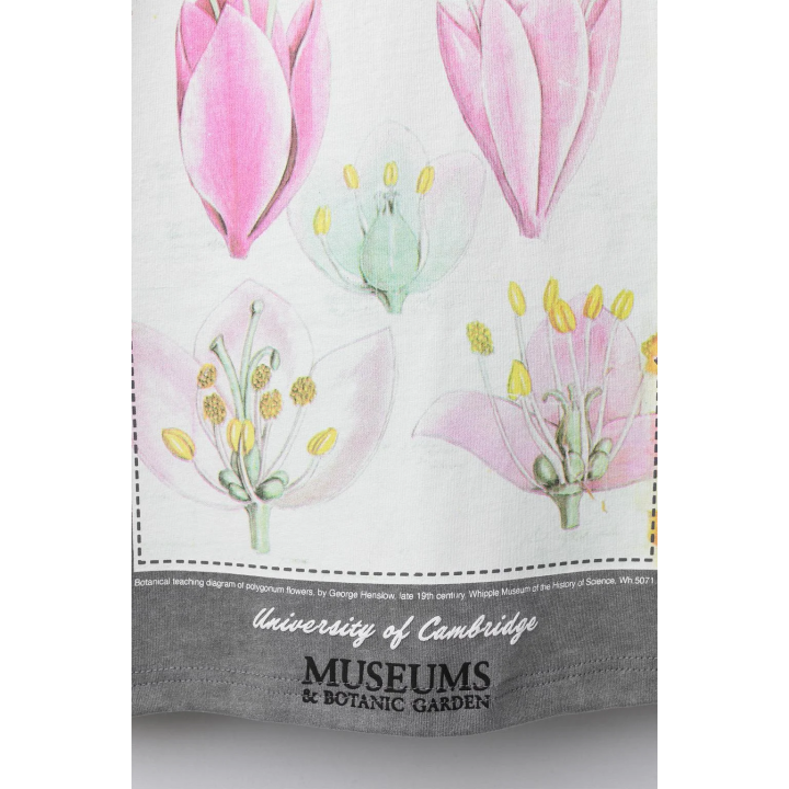 ФУТБОЛКА С ПРИНТОМ