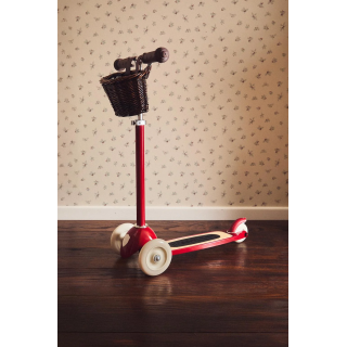 Детский самокат x banwood
