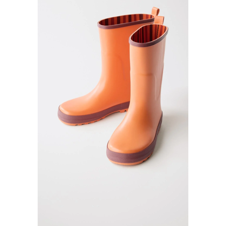 Резиновые сапоги с блоками цветов