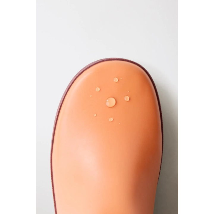 Резиновые сапоги с блоками цветов