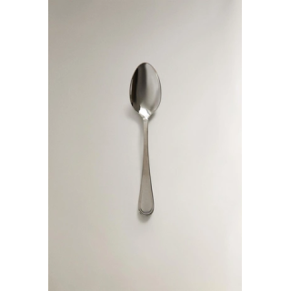 SHINY STEEL SPOON