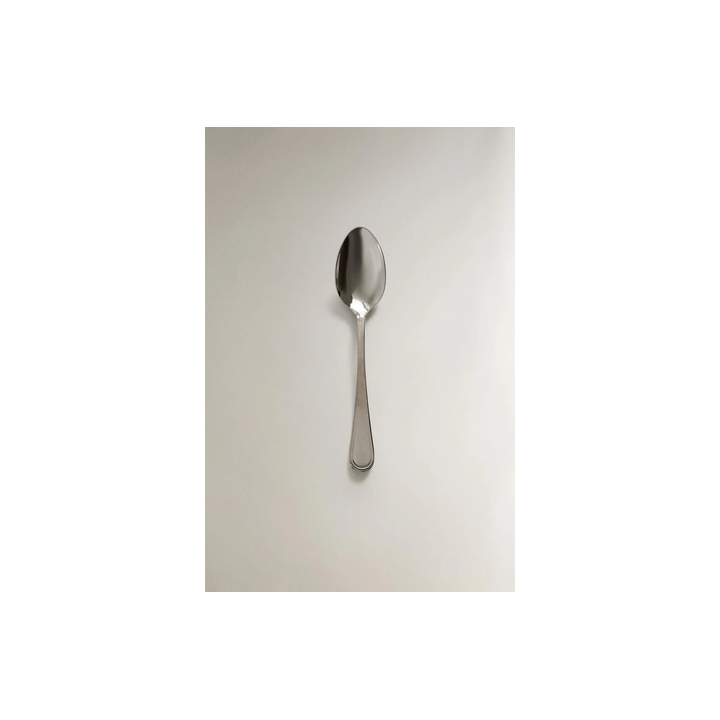 SHINY STEEL SPOON