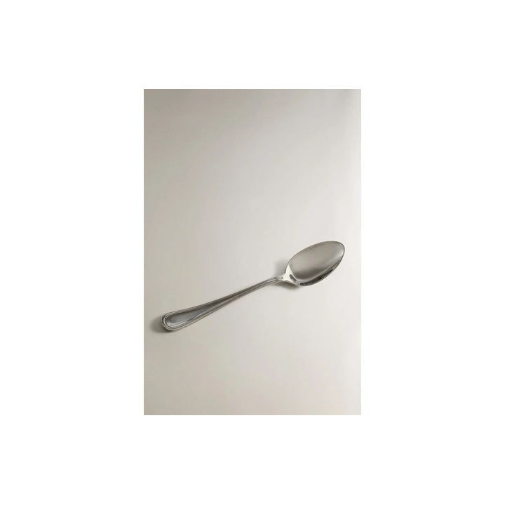 SHINY STEEL SPOON