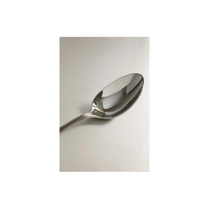 SHINY STEEL SPOON