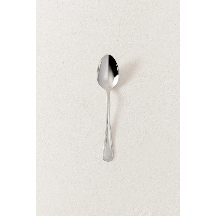 SHINY STEEL SPOON