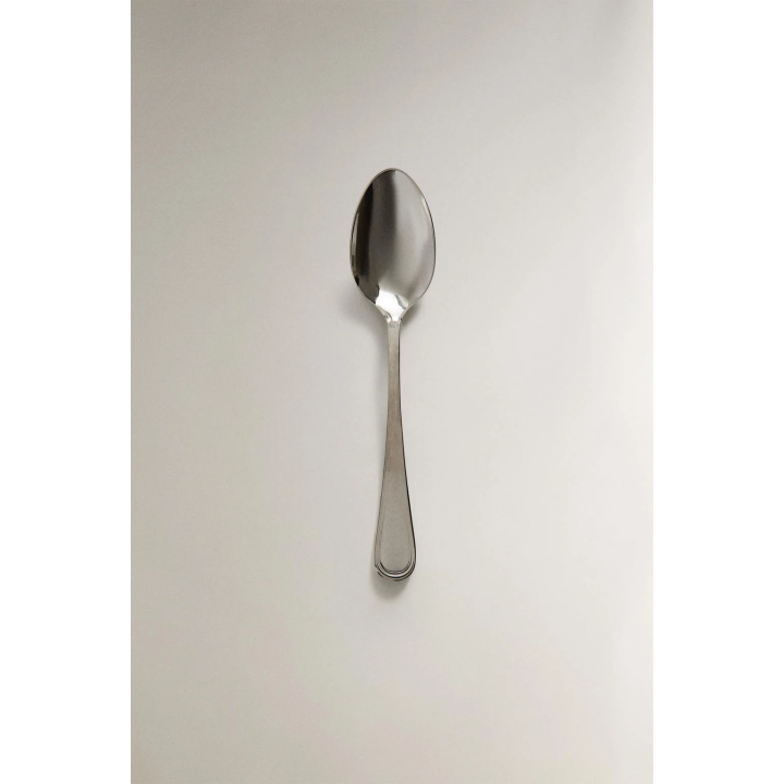 SHINY STEEL SPOON