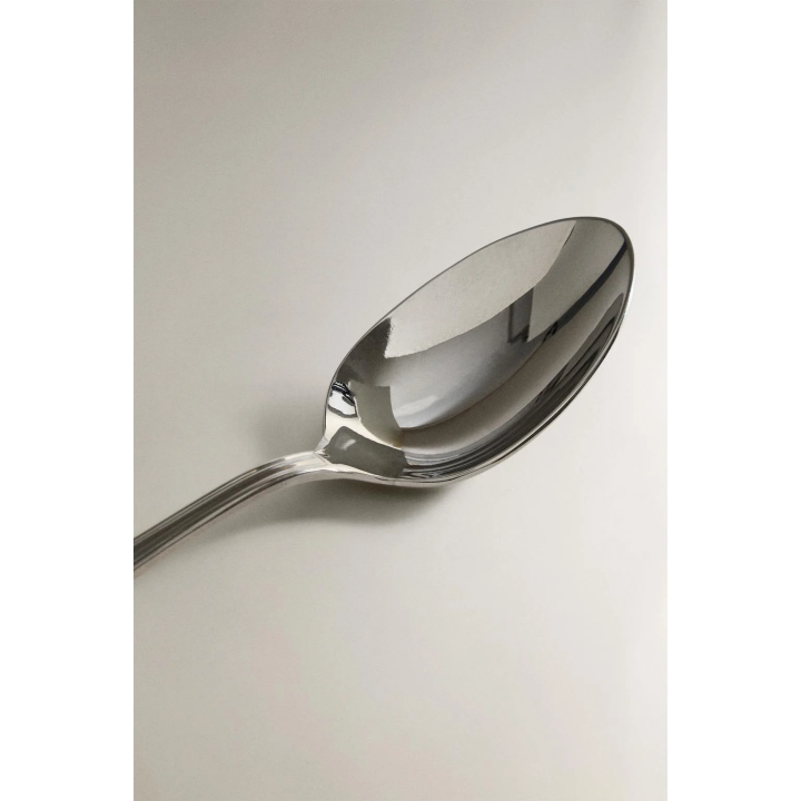 SHINY STEEL SPOON