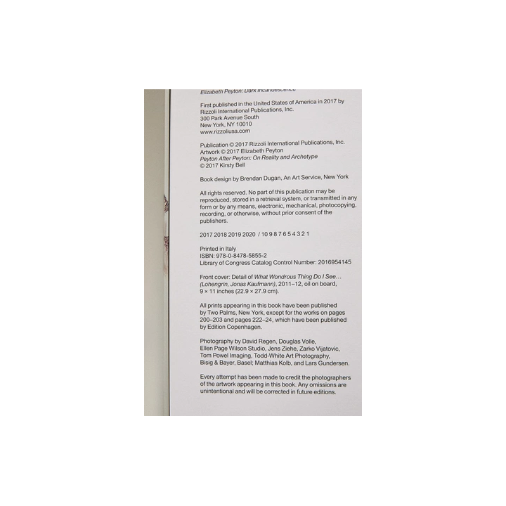 ELIZABETH PEYTON BOOK (ENGLISH)