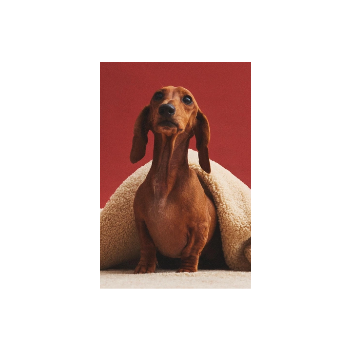 Плед для домашних животных в клеточку