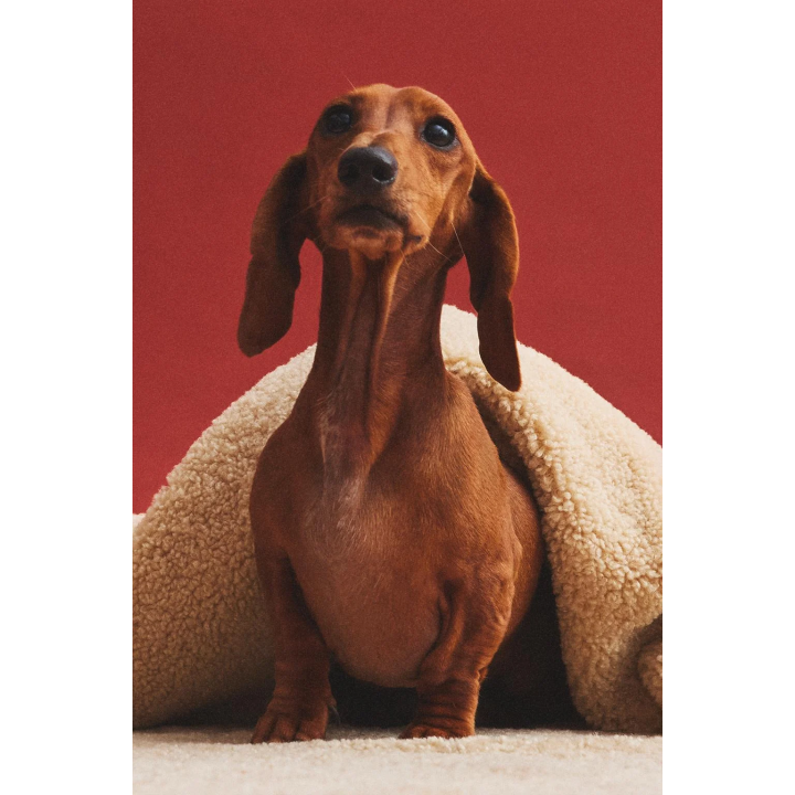 Плед для домашних животных в клеточку