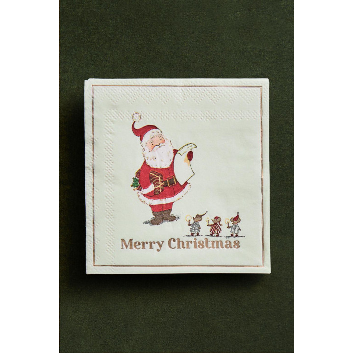 Набор детских бумажных салфеток с изображением деда мороза (набор из 20 штук)