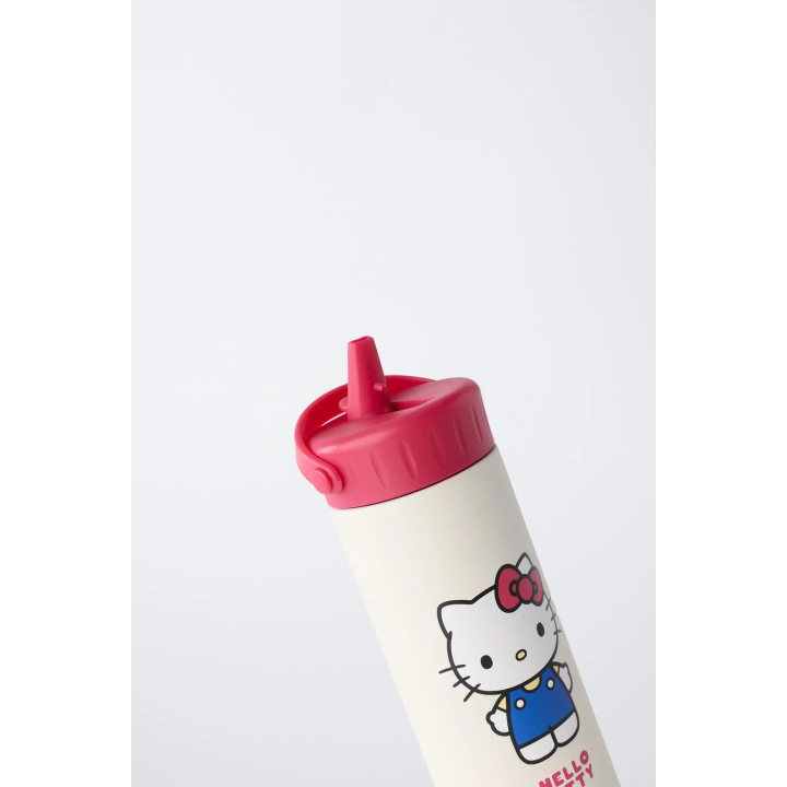 Бутылка из нержавеющей стали hello kitty © sanrio 600 мл