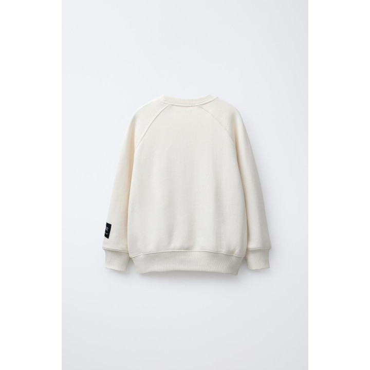 ТОЛСТОВКА С ПРИНТОМ POKÉMON ™