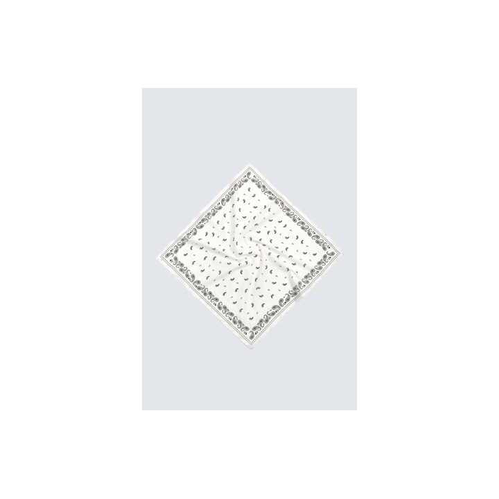 БАНДАНА С ПРИНТОМ ПЕЙСЛИ