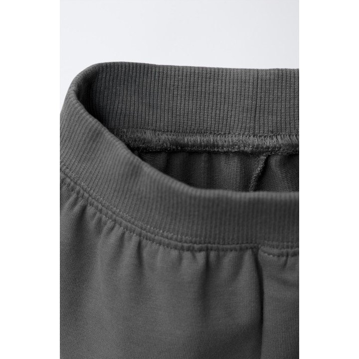 КОМПЛЕКТ: ТОЛСТОВКА И БРЮКИ-ДЖОГГЕРЫ