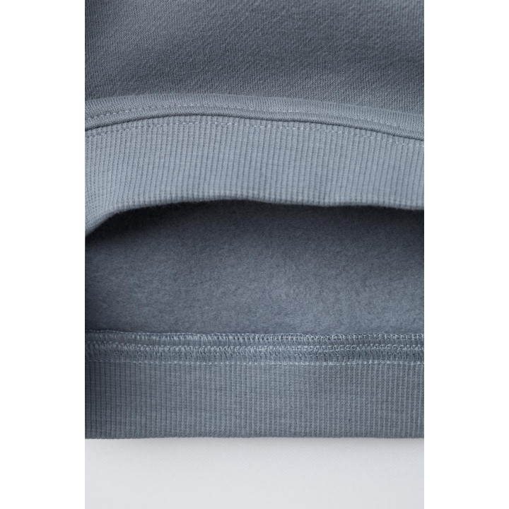 КОМПЛЕКТ: ТОЛСТОВКА И БРЮКИ-ДЖОГГЕРЫ С ВНУТРЕННИМ НАЧЕСОМ