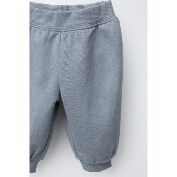 КОМПЛЕКТ: ТОЛСТОВКА И БРЮКИ-ДЖОГГЕРЫ С ВНУТРЕННИМ НАЧЕСОМ