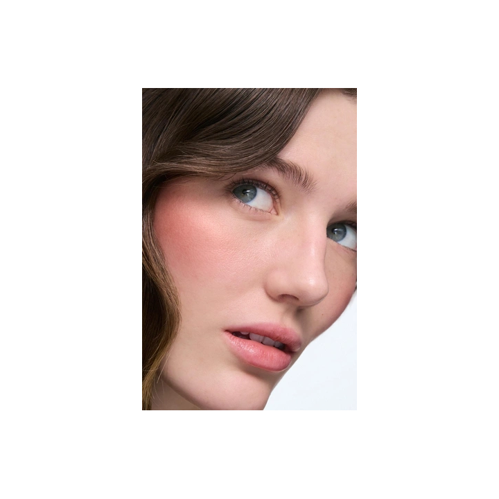 POWDER BLUSHER - HIGHLY-LICIOUS