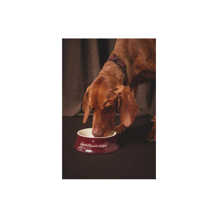 Кастрюля для корма домашних животных из камфарового камня