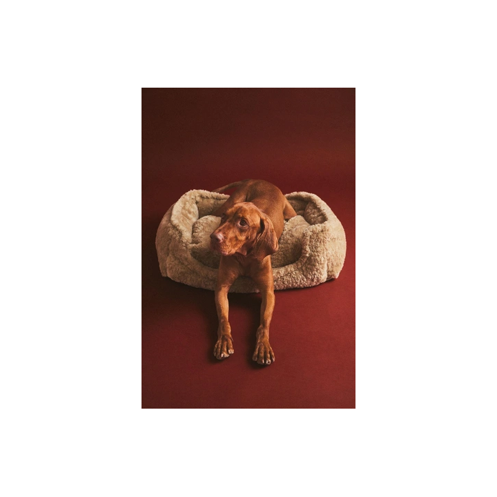 Искусственный берберовый питомник