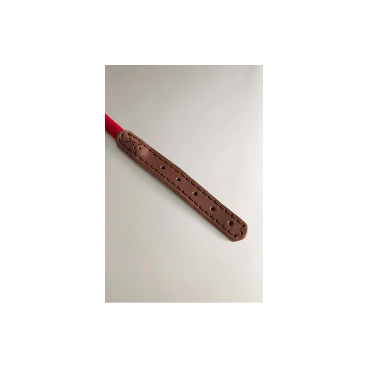 LEATHER AND ROPE DOG COLLAR