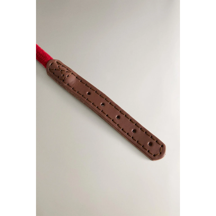 LEATHER AND ROPE DOG COLLAR