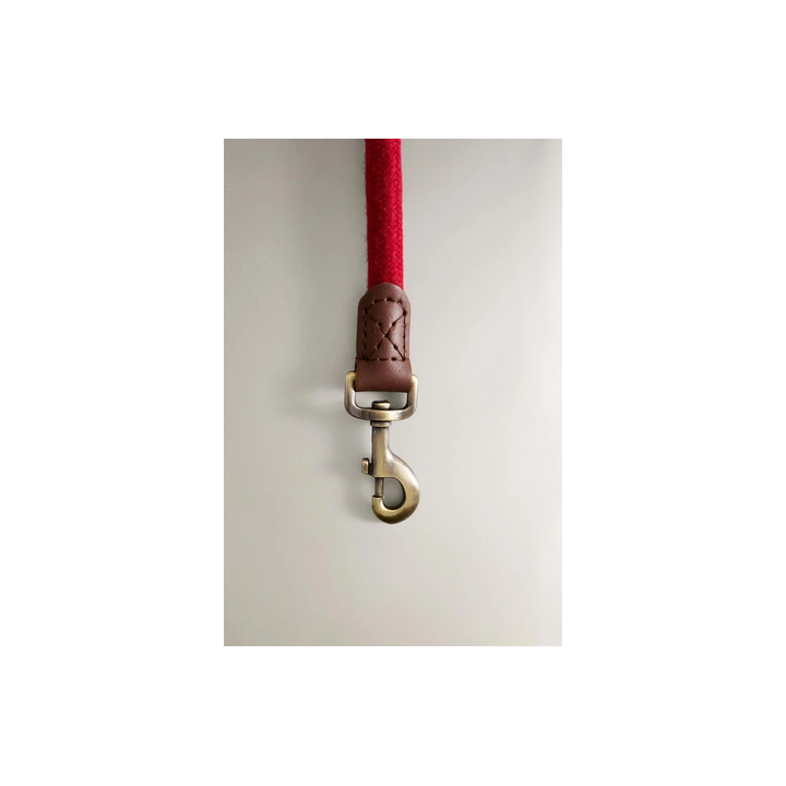 Поводок для собаки из кожи и веревки