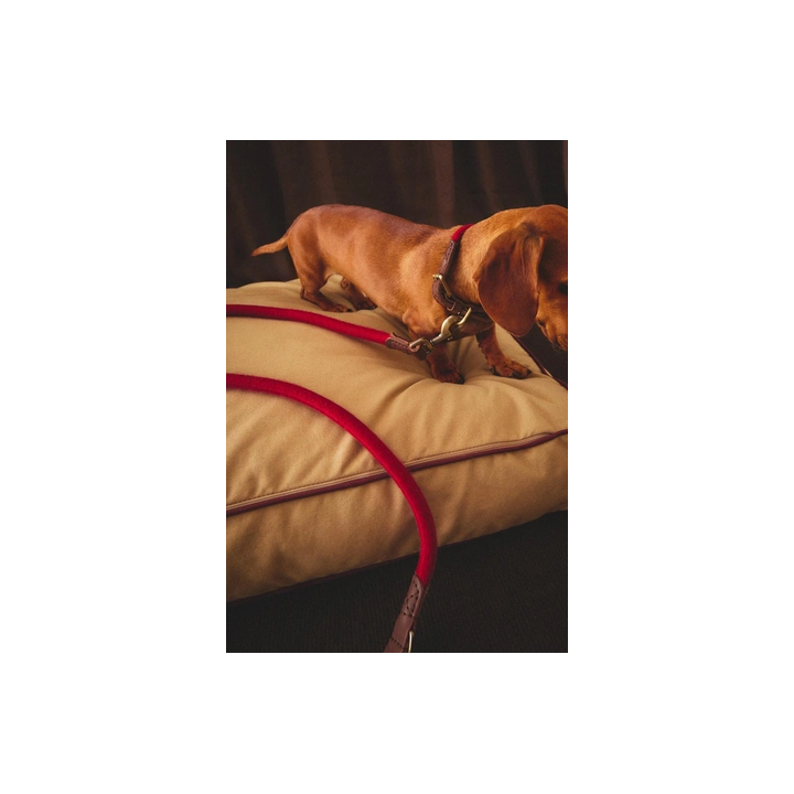 Поводок для собаки из кожи и веревки