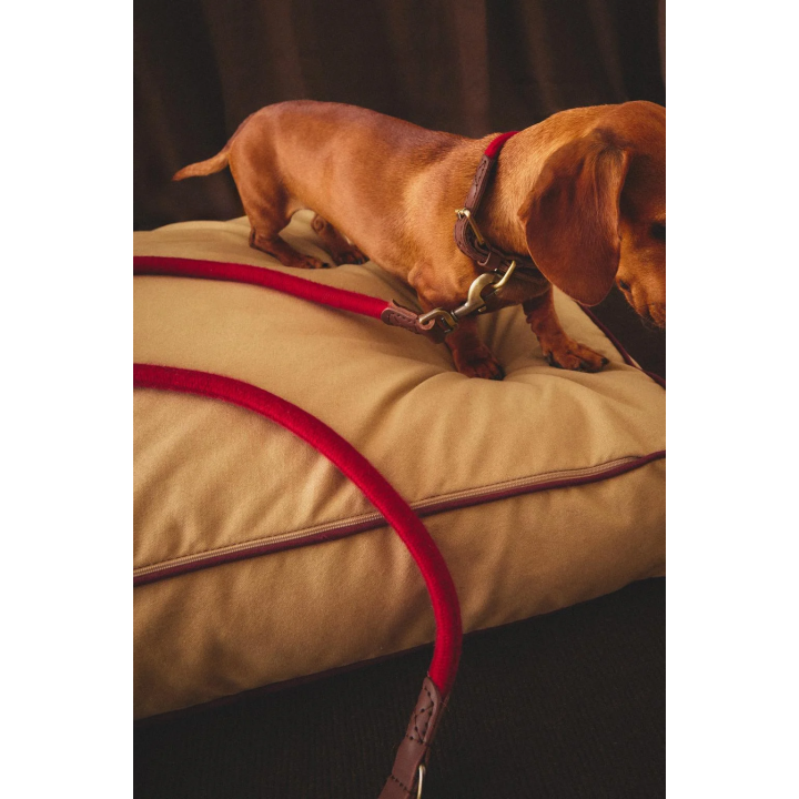 Поводок для собаки из кожи и веревки