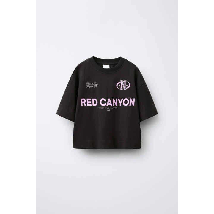 ФУТБОЛКА С ПРИНТОМ В СТИЛЕ ПРЕППИ