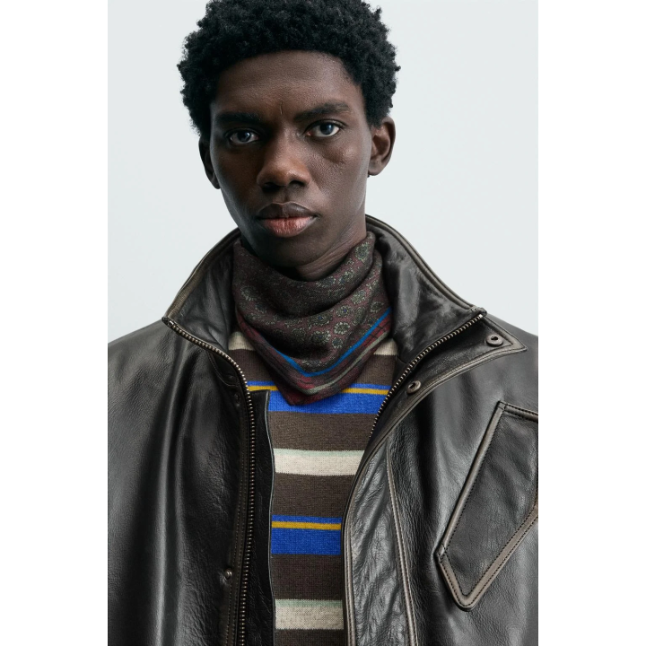 Шерстяной шелковый пейсли ограниченное издание шарфа