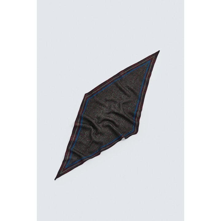 Шерстяной шелковый пейсли ограниченное издание шарфа