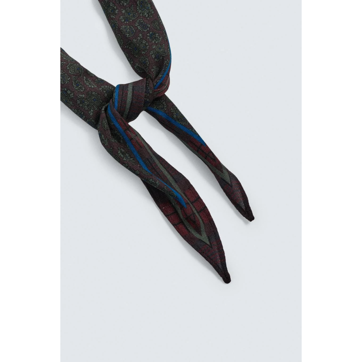 Шерстяной шелковый пейсли ограниченное издание шарфа