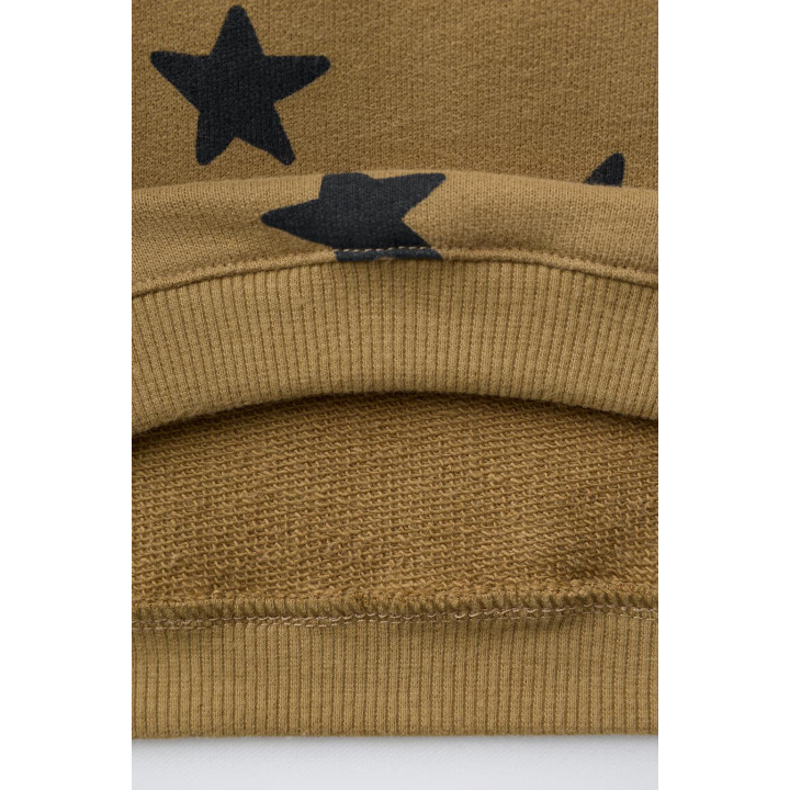 ТОЛСТОВКА С ПРИНТОМ