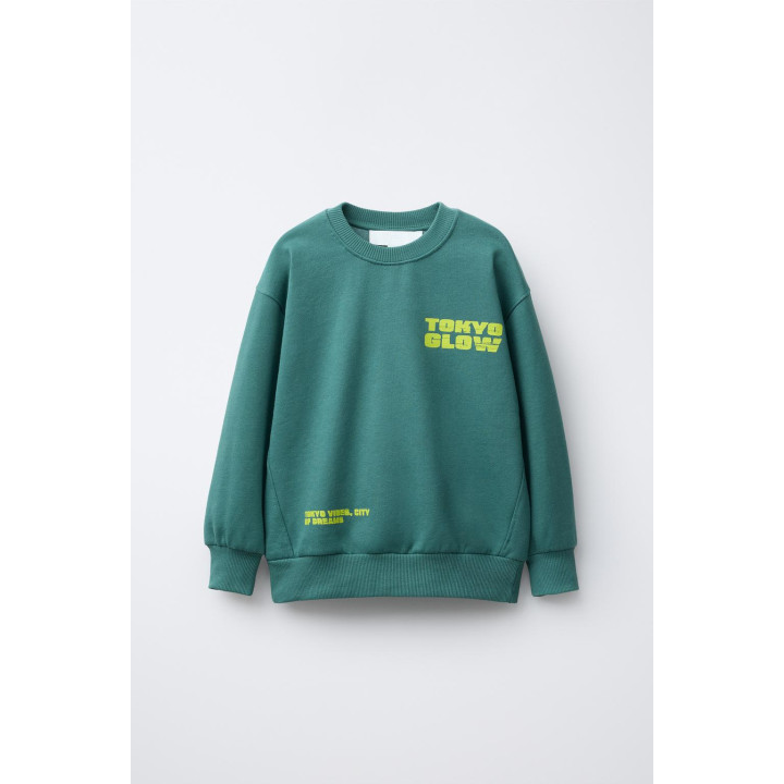 ТОЛСТОВКА С ФОТОПРИНТОМ