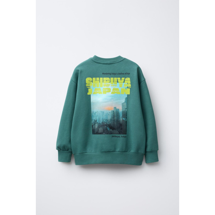 ТОЛСТОВКА С ФОТОПРИНТОМ