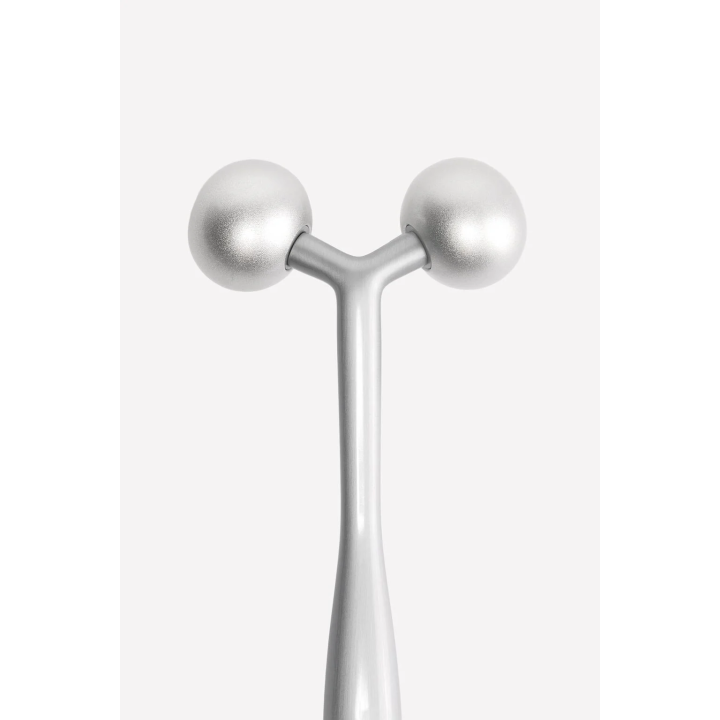 THE FACE ROLLER LUDOVIC DE SAINT SERNIN x ZARA