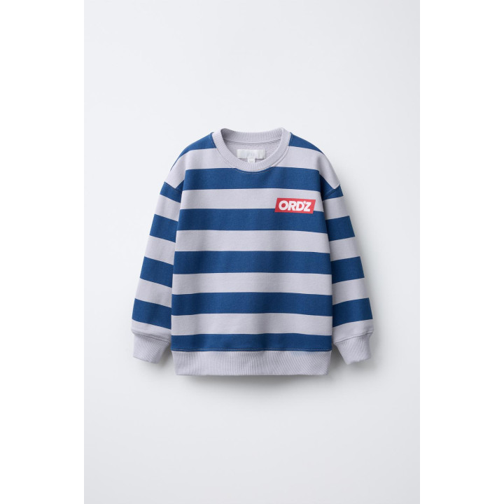 ТОЛСТОВКА В ПОЛОСКУ С ТЕКСТОМ