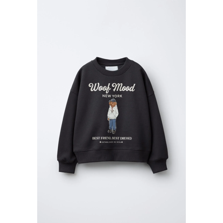 ТОЛСТОВКА С ПРИНТОМ «СОБАКА»