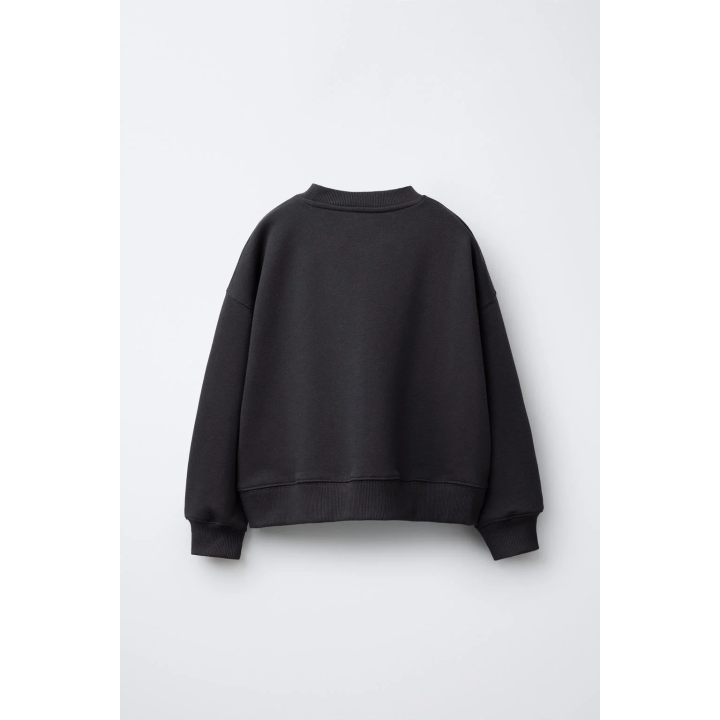 ТОЛСТОВКА С ПРИНТОМ «СОБАКА»