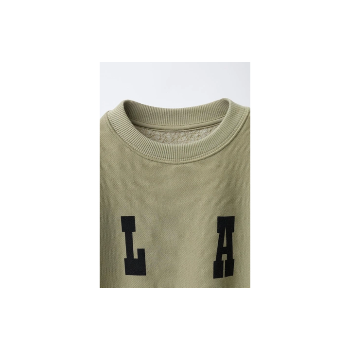 ТОЛСТОВКА С ТЕКСТОВЫМ ПРИНТОМ