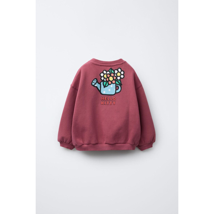 ТОЛСТОВКА С ПРИНТОМ HELLO KITTY © SANRIO