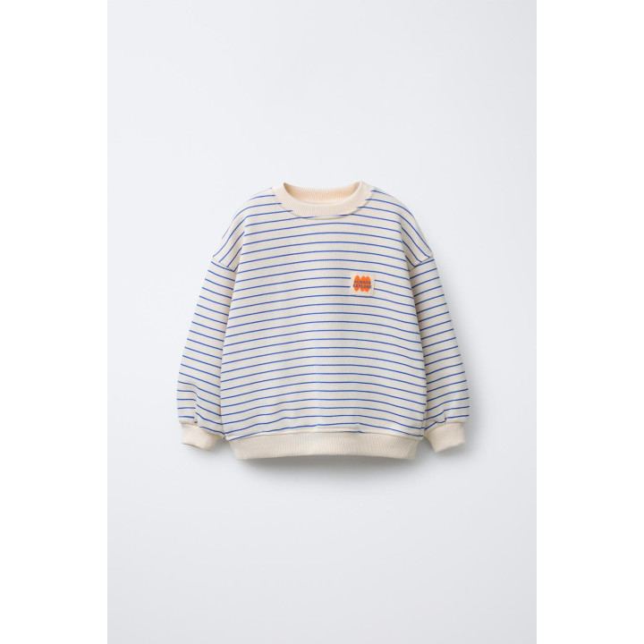 ТОЛСТОВКА В ПОЛОСКУ