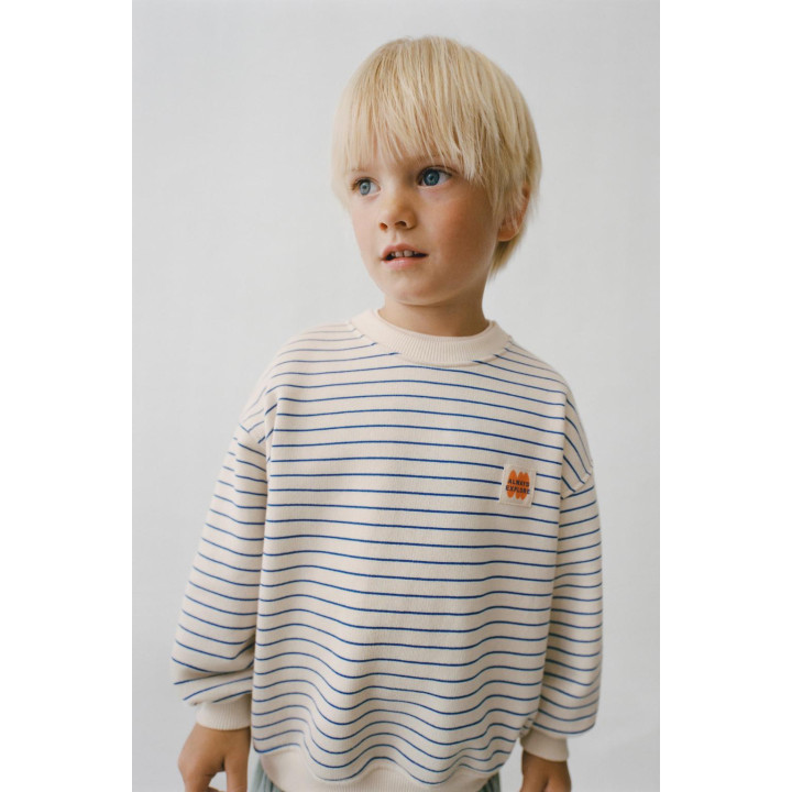 ТОЛСТОВКА В ПОЛОСКУ